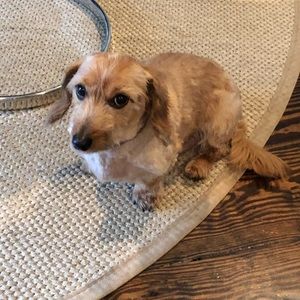 Meet your Posher, Julie